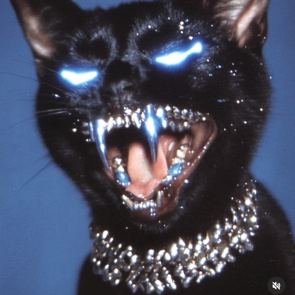 Black Cat Collar with Silver Accents